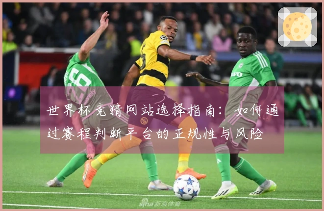世界杯竞猜网站选择指南：如何通过赛程判断平台的正规性与风险