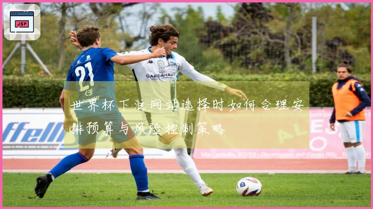 世界杯下注网站选择时如何合理安排预算与风险控制策略