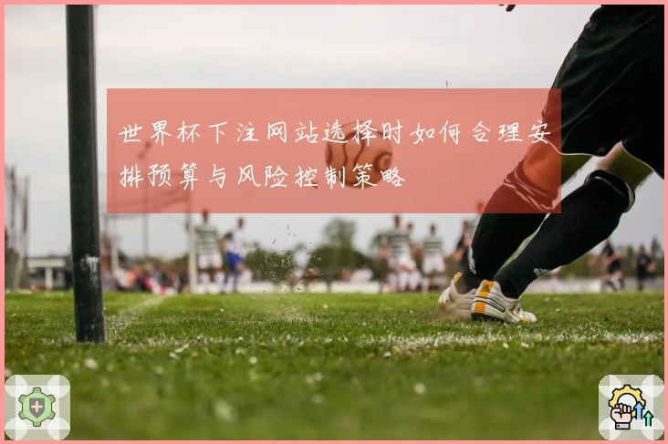 世界杯下注网站选择时如何合理安排预算与风险控制策略